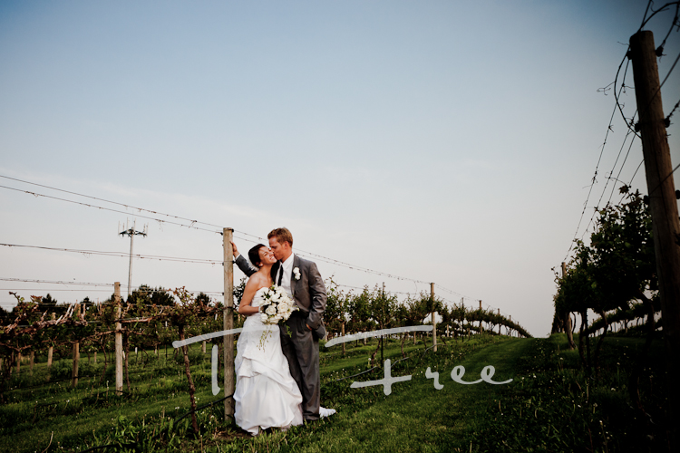 Beautiful outdoor big blue sky vineyard wedding near Grand Island, Nebraska.