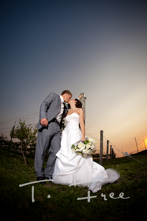 Orange sky Nebraska sunset wedding image of bride and groom at a winery.