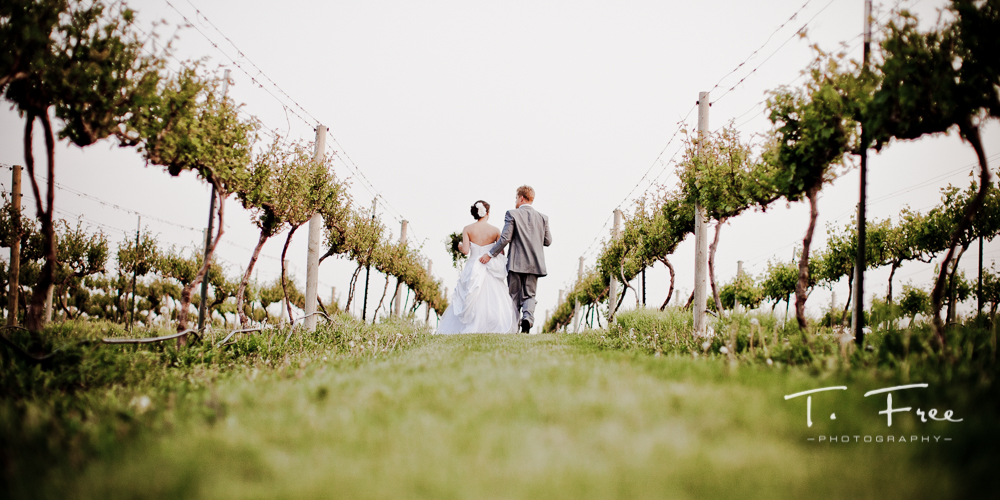 Marvelous wedding picture of bride and groom walking in a Nebraska vineyard.